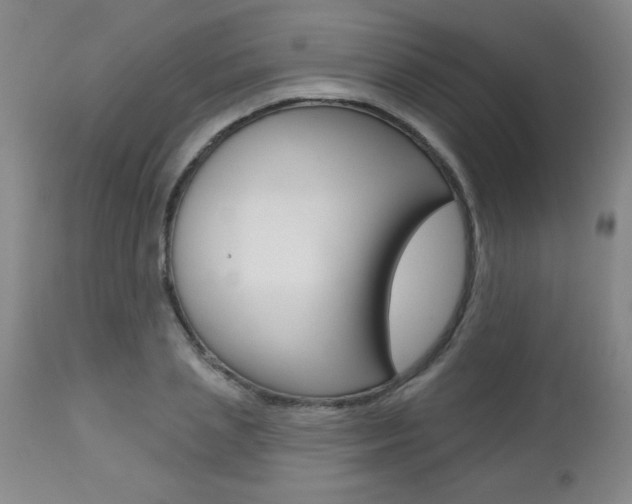 X0000112460837200908171014