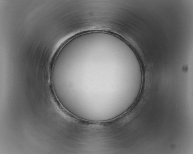 X0000112460838200908171014