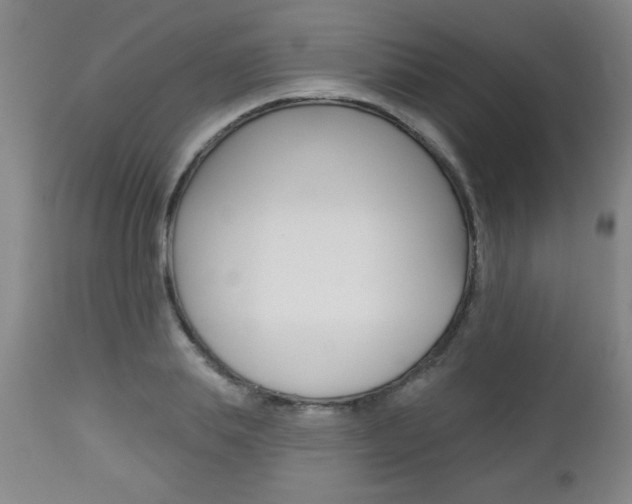 X0000112460839200908171014
