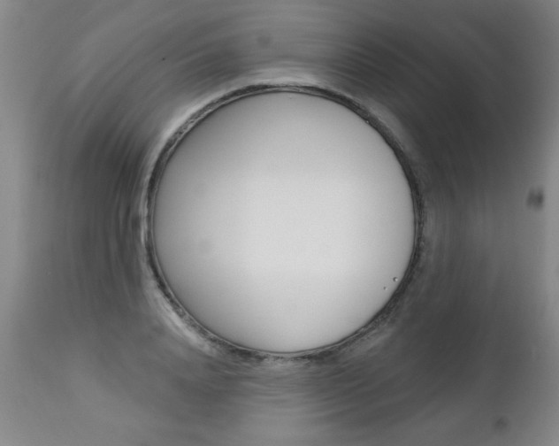 X0000112460840200908171014