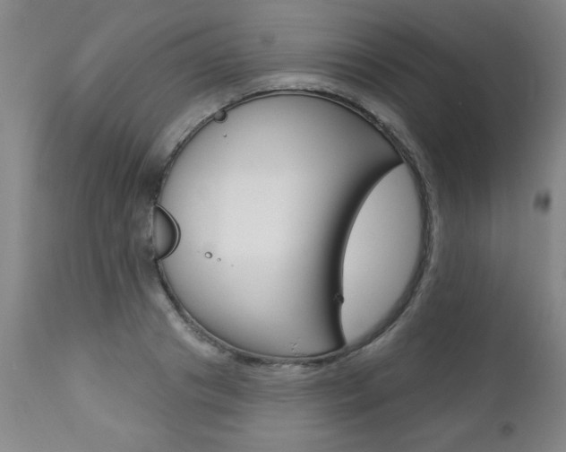 X0000112460841200908171014