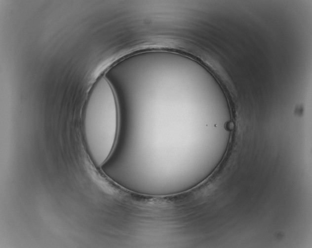 X0000112460842200908171014