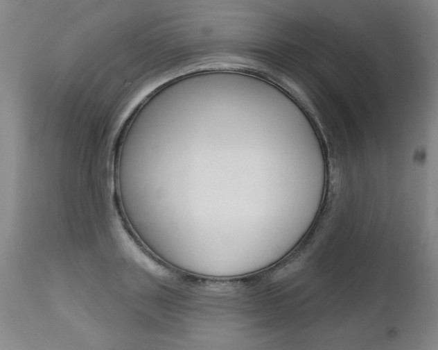 X0000112460843200908171014
