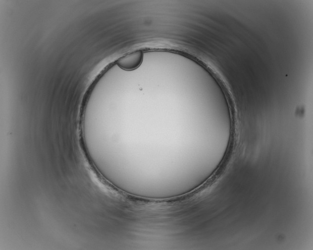 X0000112460845200908171014