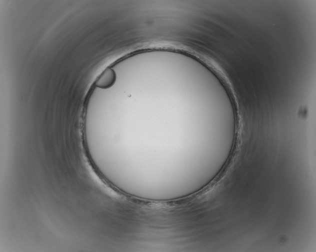 X0000112460847200908171014