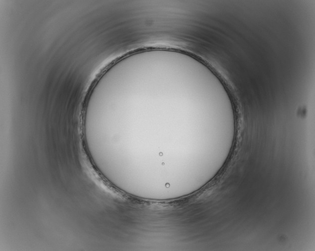 X0000112460848200908171014