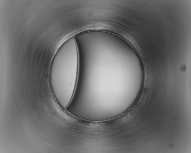 X0000112460850200908171014