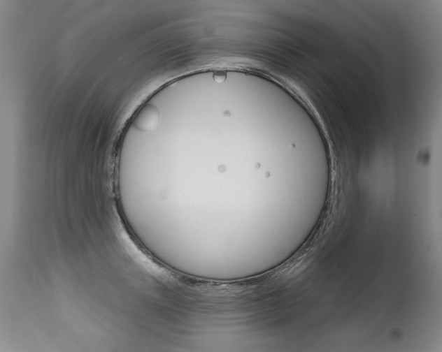X0000112460851200908171014