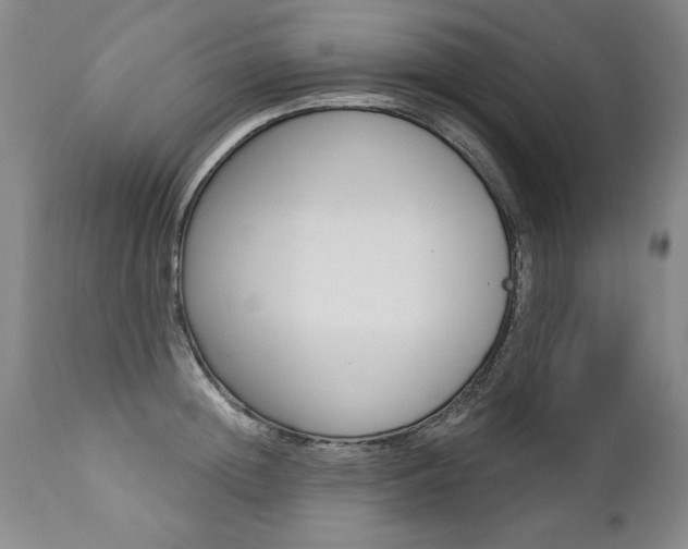 X0000112460852200908171014