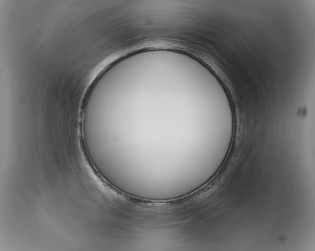 X0000112460853200908171014