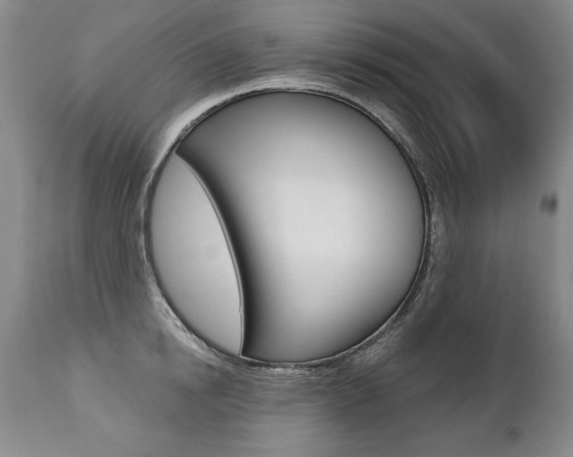 X0000112460854200908171014