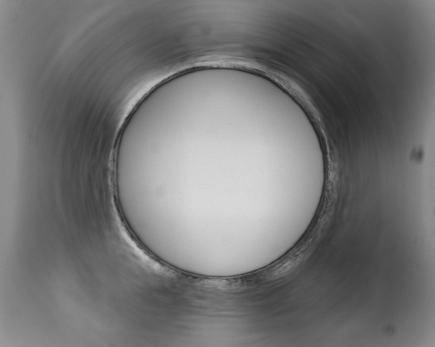 X0000112460855200908171014