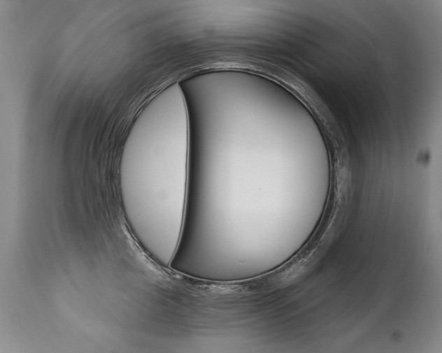 X0000112460857200908171014