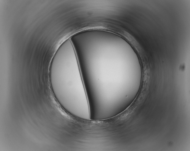 X0000112460858200908171014