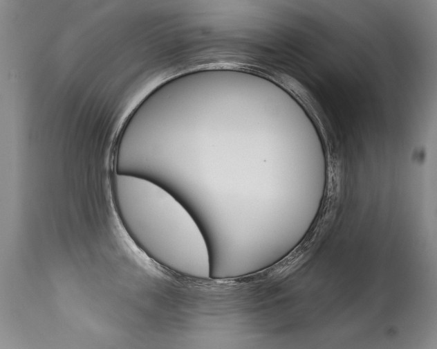 X0000112460859200908171014