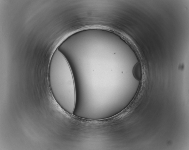 X0000112460860200908171014