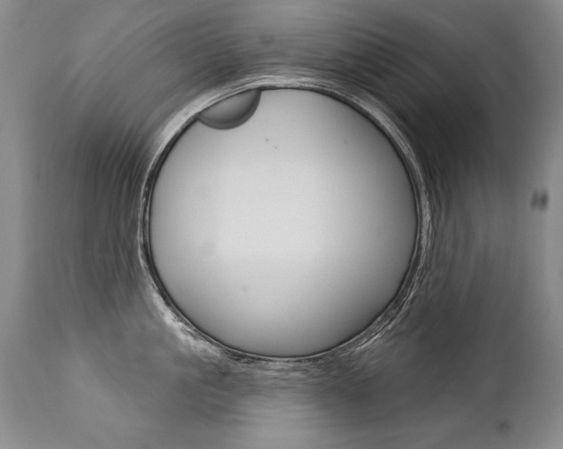 X0000112460861200908171014