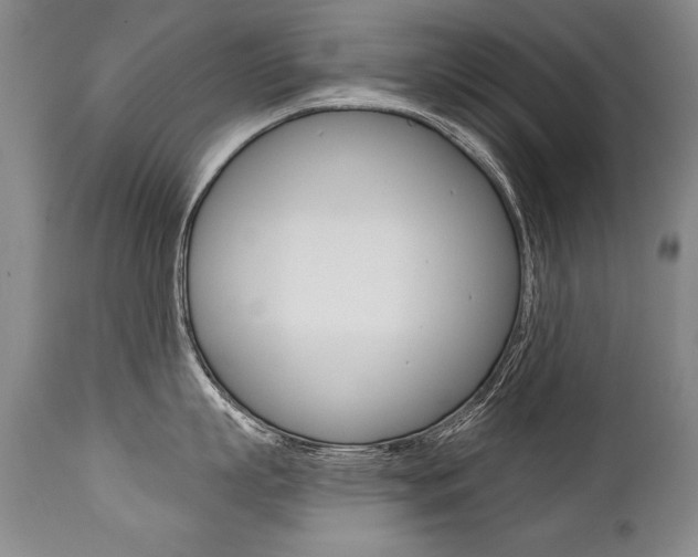 X0000112460863200908171014