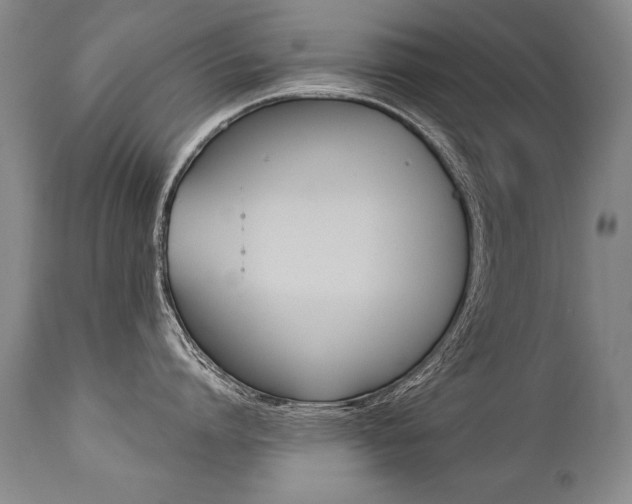 X0000112460864200908171014