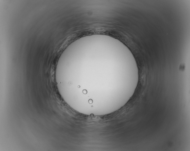 X0000112460866200908171013