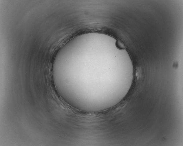 X0000112460867200908171013