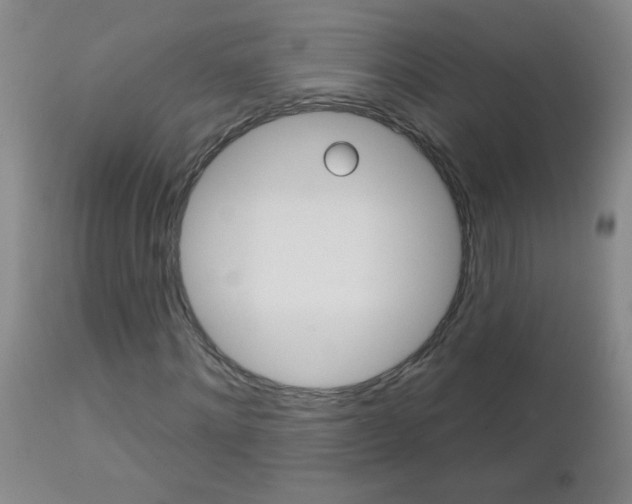 X0000112460868200908171013