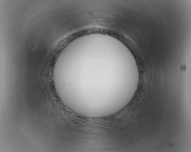 X0000112460870200908171013