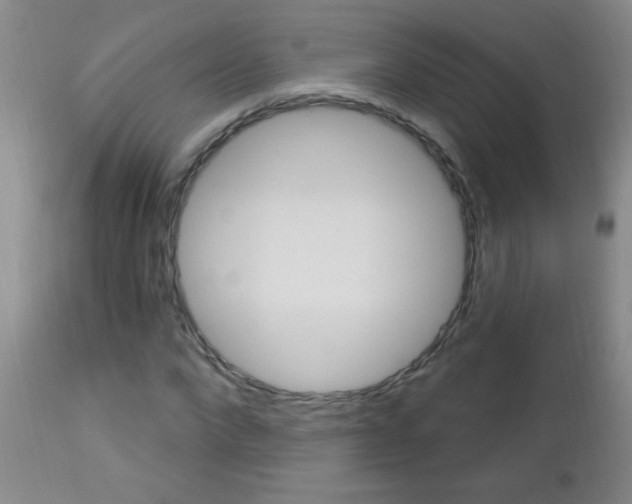 X0000112460872200908171013