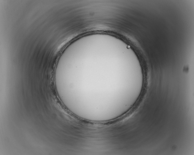 X0000112460873200908171013