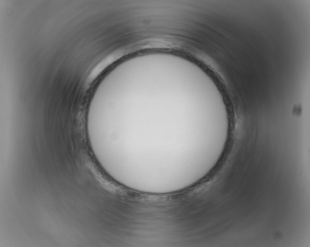 X0000112460874200908171013