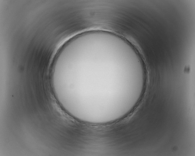 X0000112460876200908171013