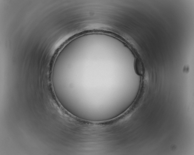 X0000112460877200908171013