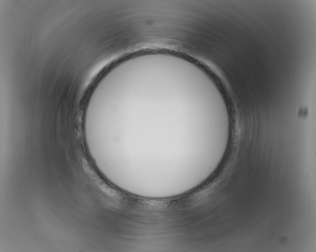 X0000112460878200908171013