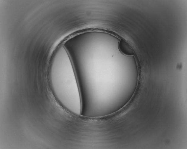 X0000112460880200908171013