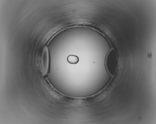 X0000112460881200908171013