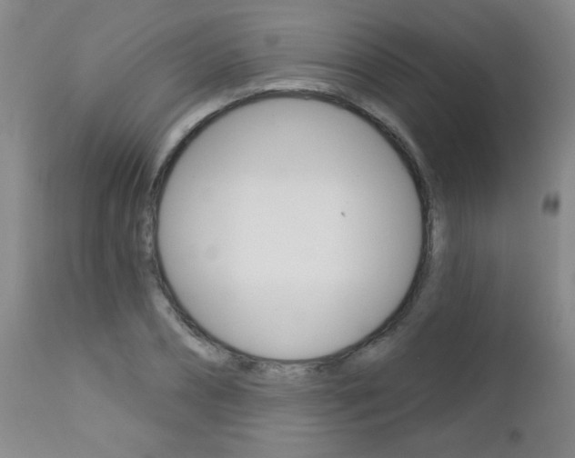 X0000112460882200908171013