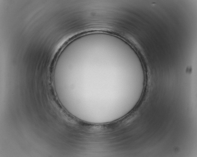X0000112460883200908171013