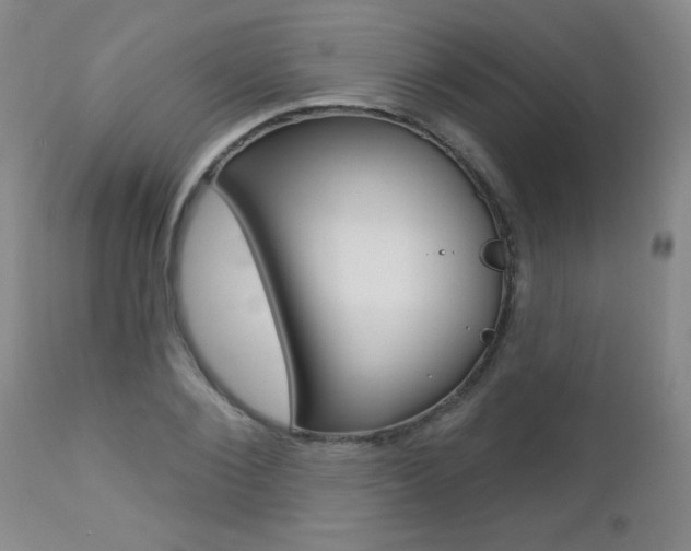 X0000112460884200908171013