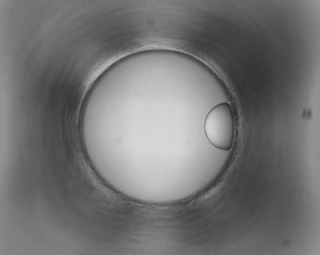 X0000112460885200908171013