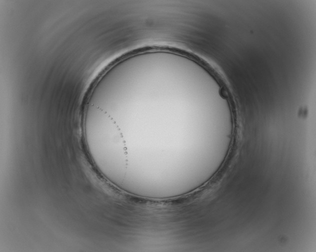 X0000112460887200908171013