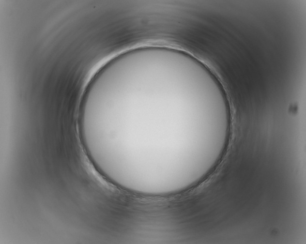 X0000112460888200908171013