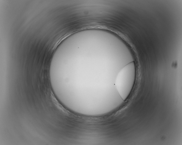 X0000112460889200908171013