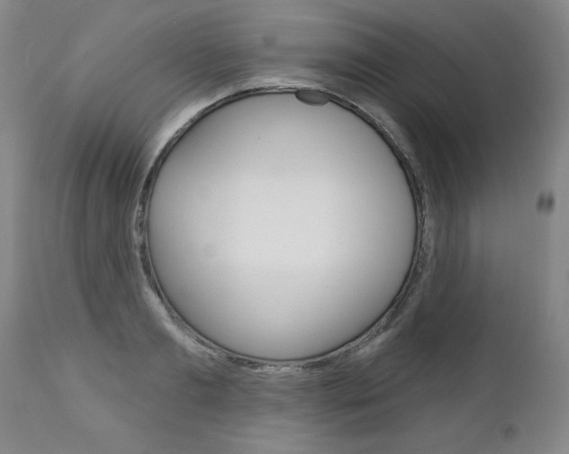 X0000112460893200908171013