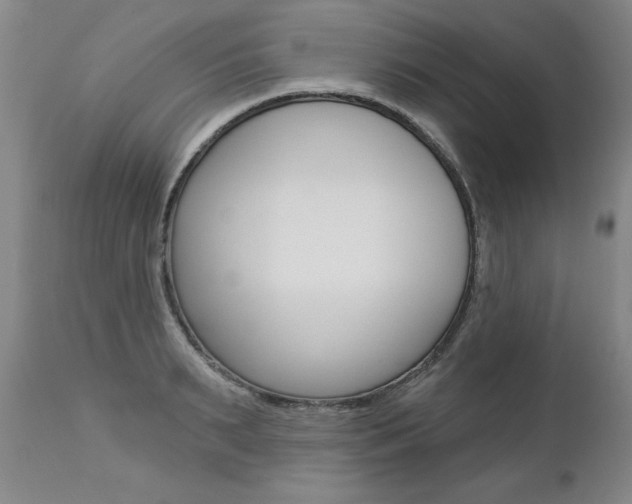 X0000112460895200908171013