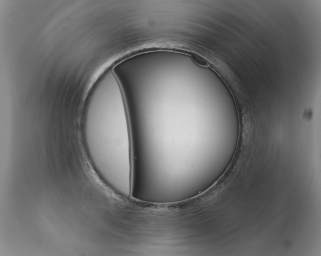 X0000112460896200908171013