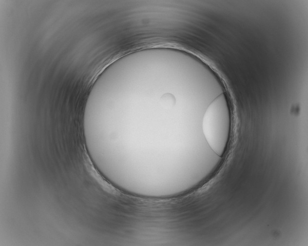 X0000112460897200908171013