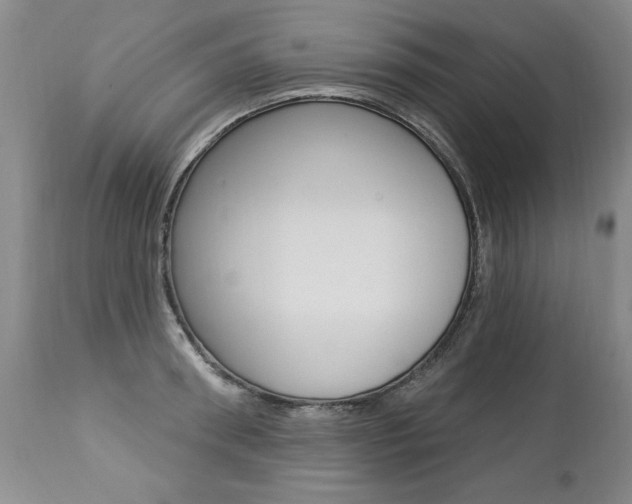 X0000112460898200908171013