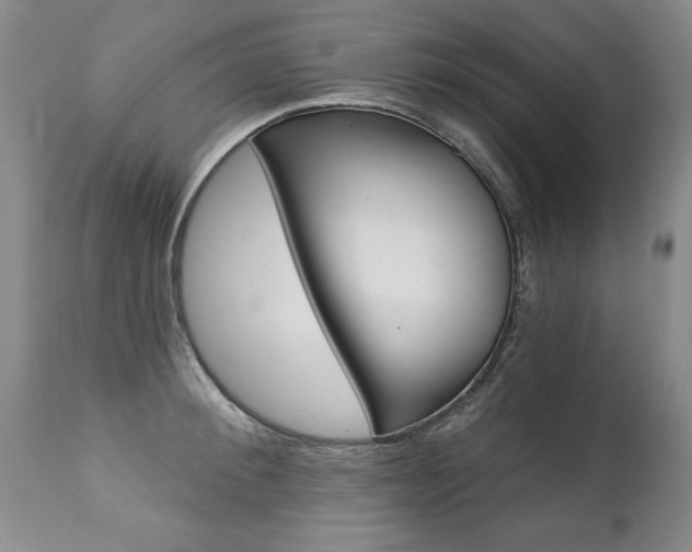 X0000112460900200908171013