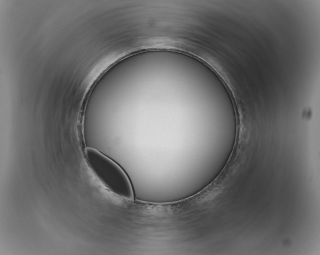 X0000112460901200908171013