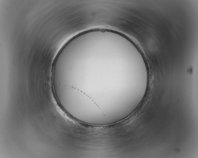 X0000112460903200908171013